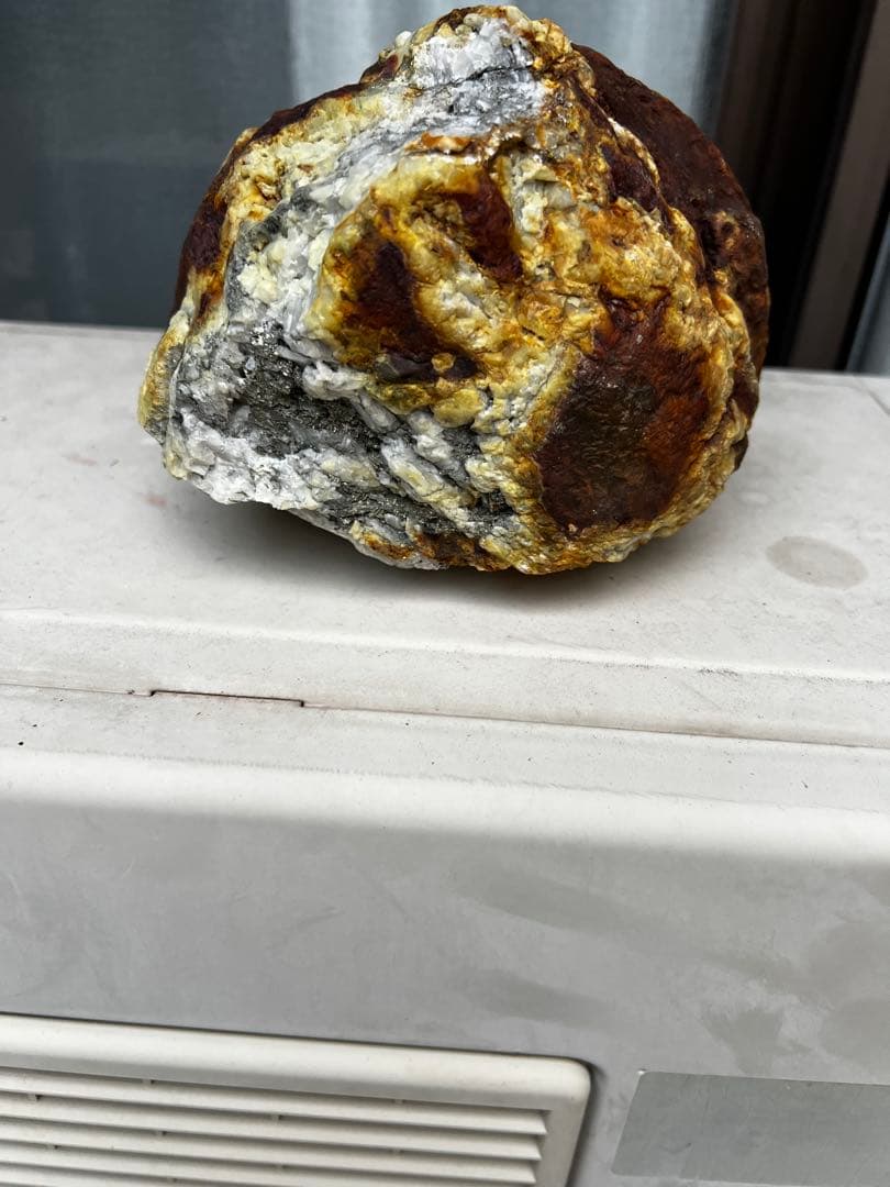 滋賀県の川から、 2100g