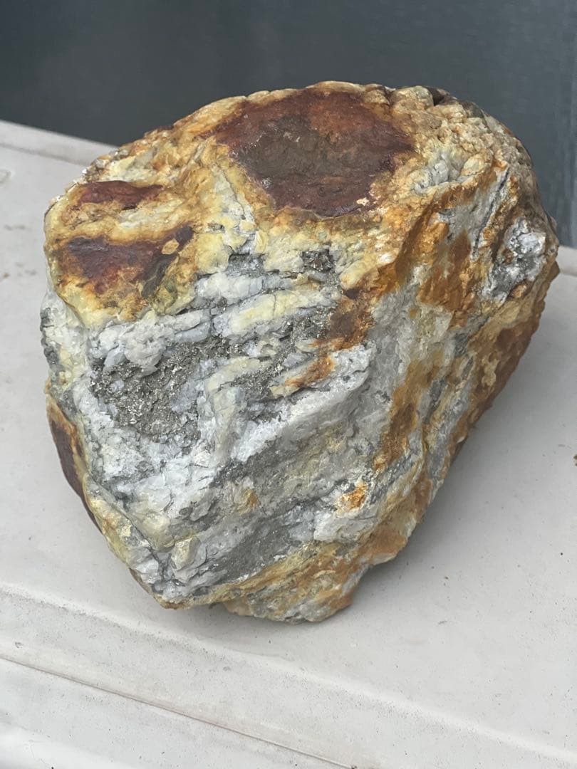 滋賀県の川から、 2100g