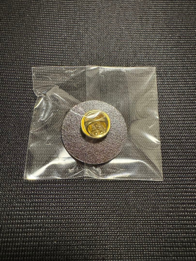 EXPO2025 大阪関西万博 関西パビリオン 恐竜王国福井 ピンバッジ