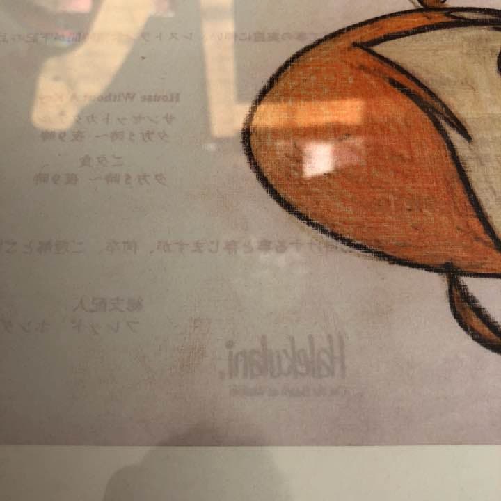 奈良美智 額装 ペイント ポスター ハレクラニ