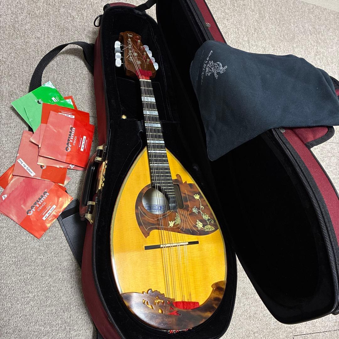 Raffaele Calace & Figlio マンドリン ケース付