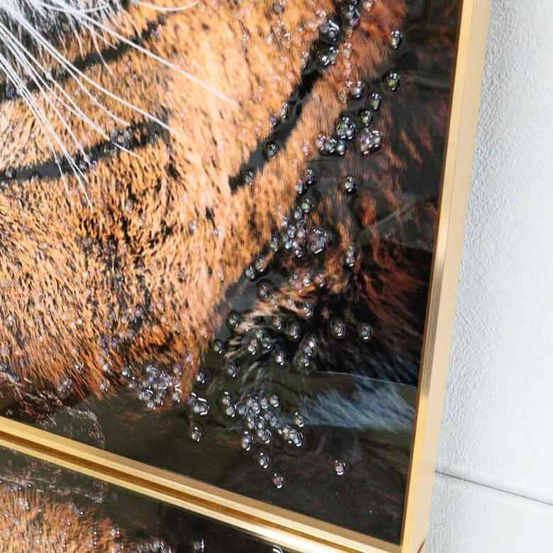 アートフレーム トラ/タイガー/虎 絵画 クリスタルピクチャー