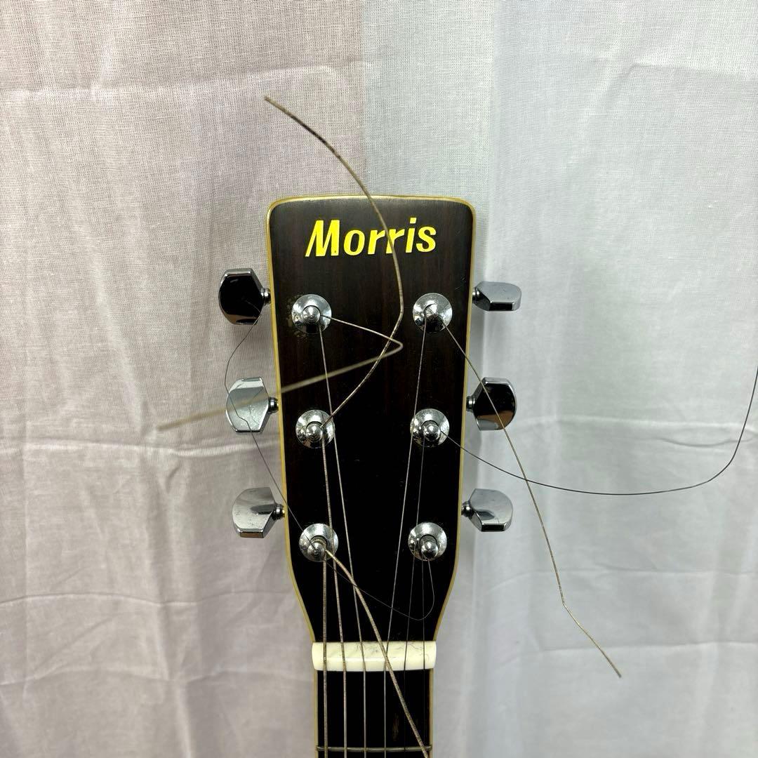 MorriS アコースティックギター