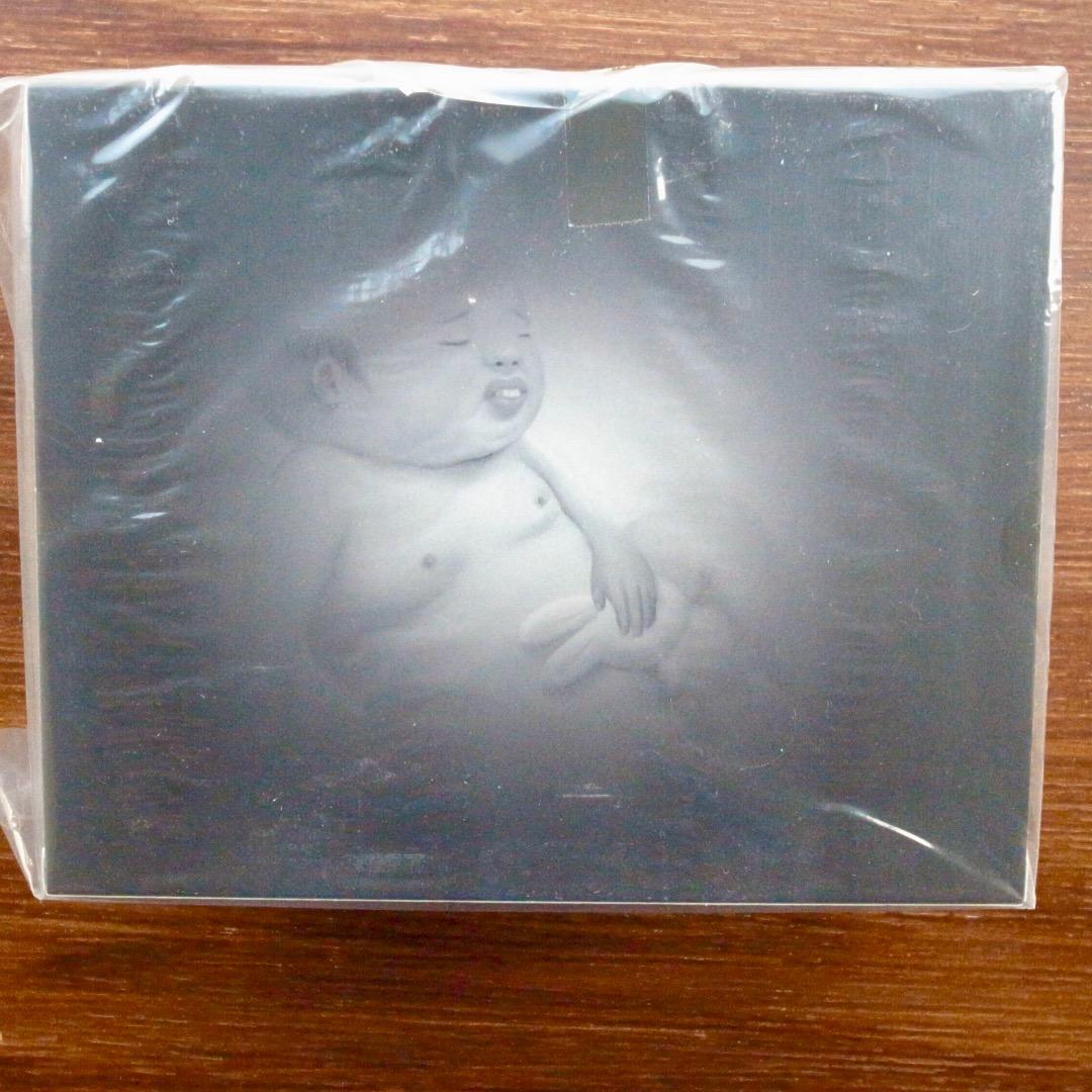 希少　　ジムオルーク ユリイカ / とろろ園 　　友沢こたお 　友沢ミミヨ