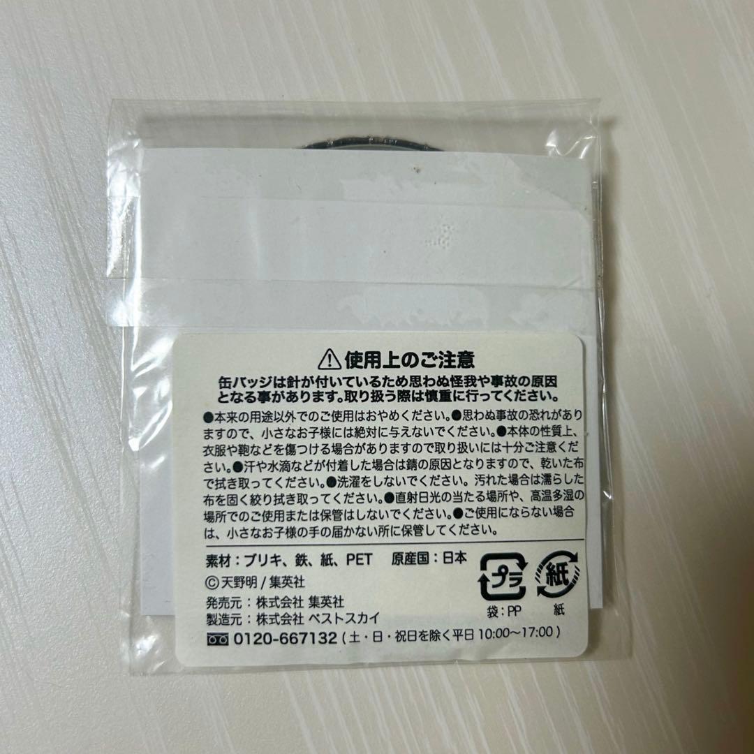 山本武 獄寺隼人 ジャンプフェスタ缶バッジ
