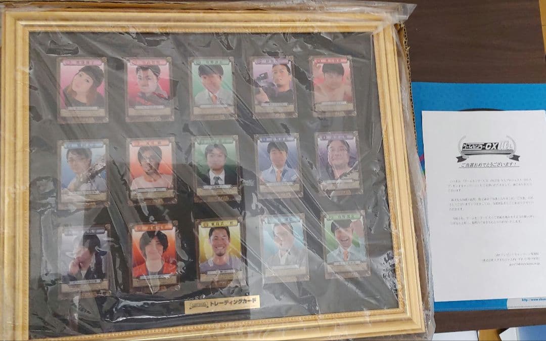 ゲームセンターCX10th 3DS 3丁目の有野 懸賞ハガキ当選A賞 限定