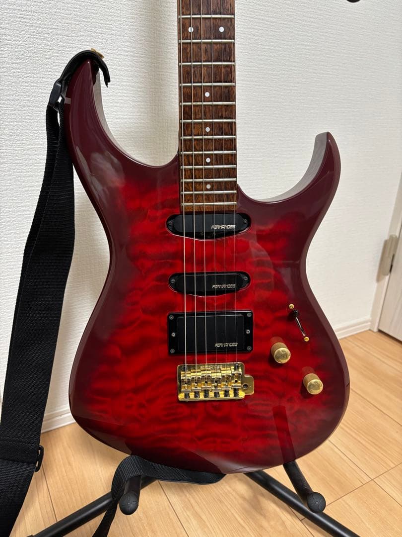 エレキギター FERNANDES ギターケース付き