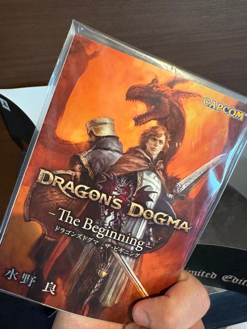 【Dragon’s Dogma】ドラゴンズドグマ限定版スタチュー