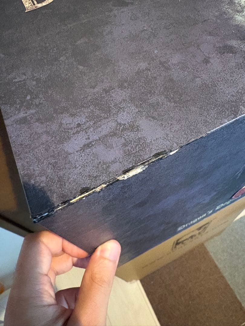 【Dragon’s Dogma】ドラゴンズドグマ限定版スタチュー