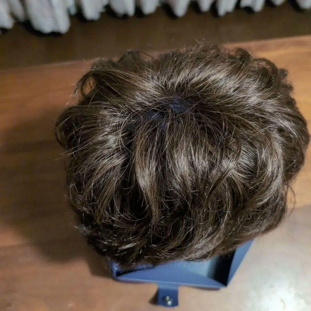 フォンテーヌ ウィッグ 試着のみ 超美品