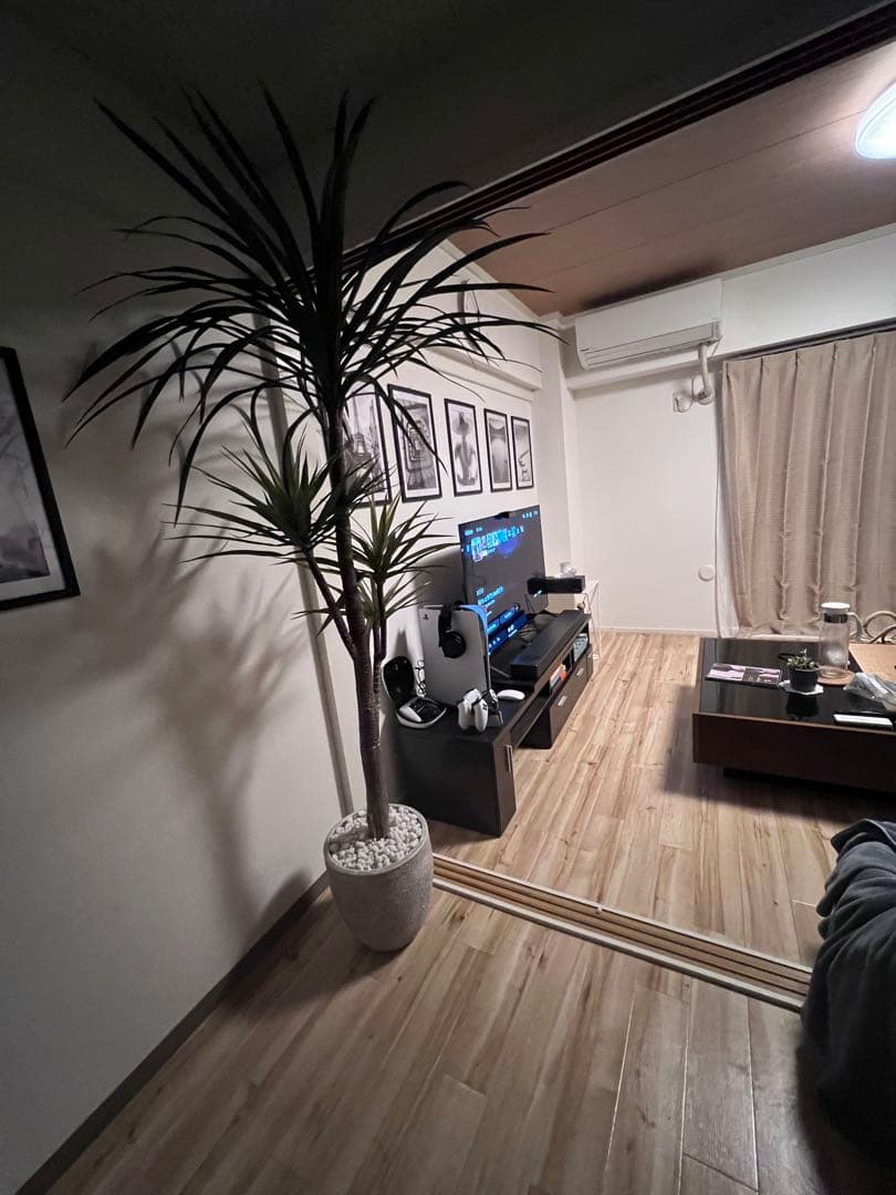 テレビ LG OLED48A1PJA BLACK