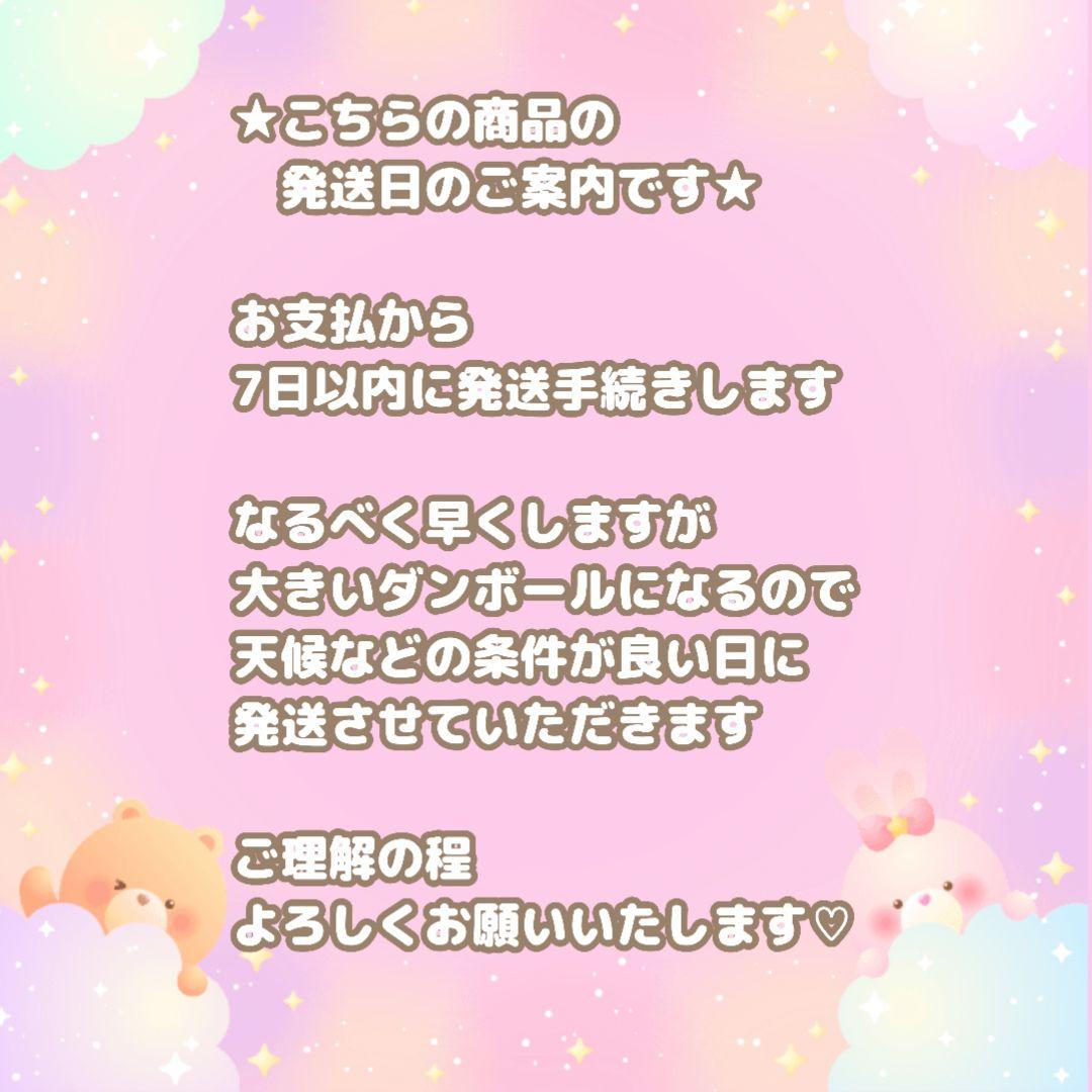 4SET★BT21ぬいぐるみたっとんLサイズMANG★BTS J-HOPE