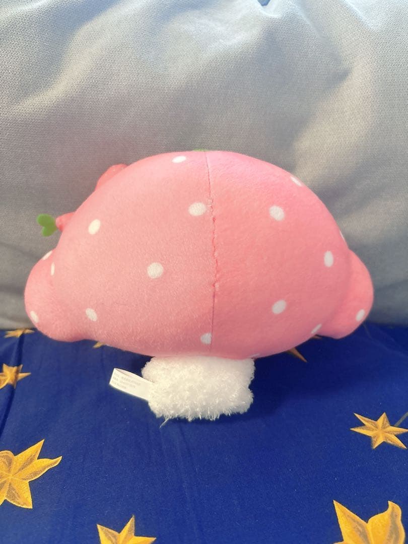 いちご　えびちゃん　こぎみゅん　こぎみょん　サンリオ　ピューロランド