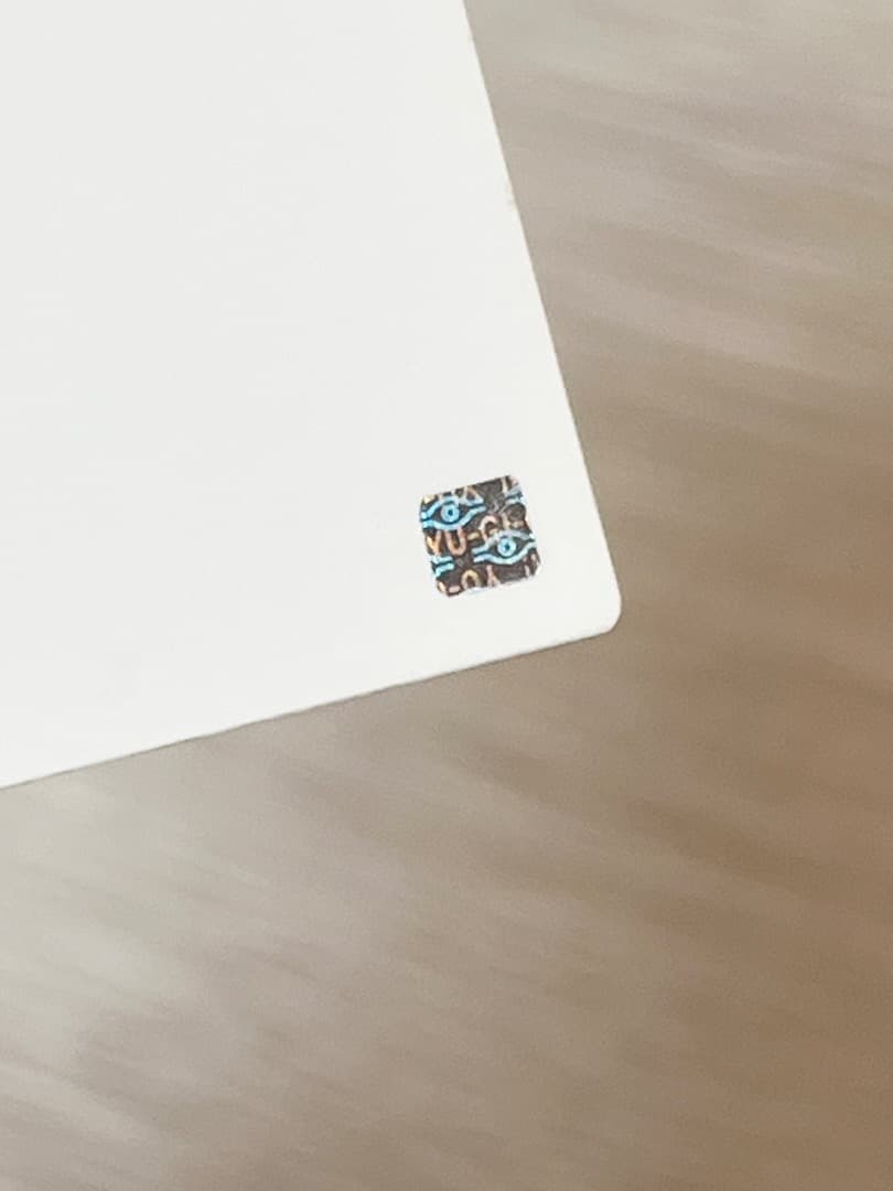 遊戯王 エラーカード 白紙