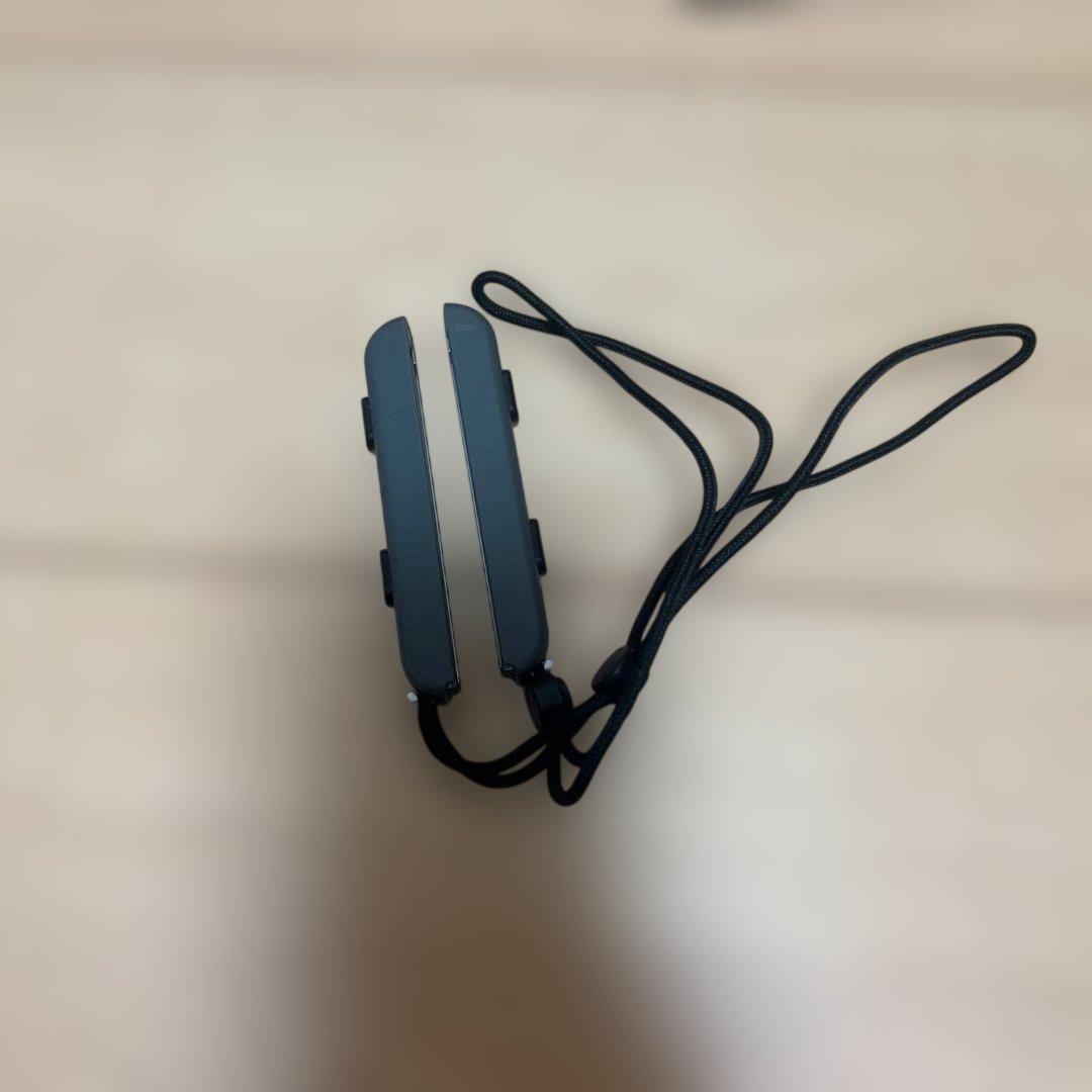 Nintendo Switch 本体 コントローラー 付属品