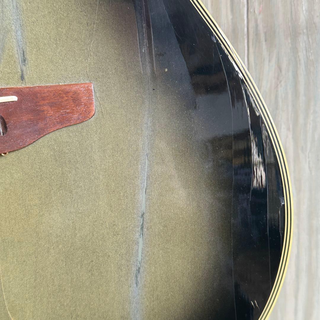 celebrity by ovation エレアコ