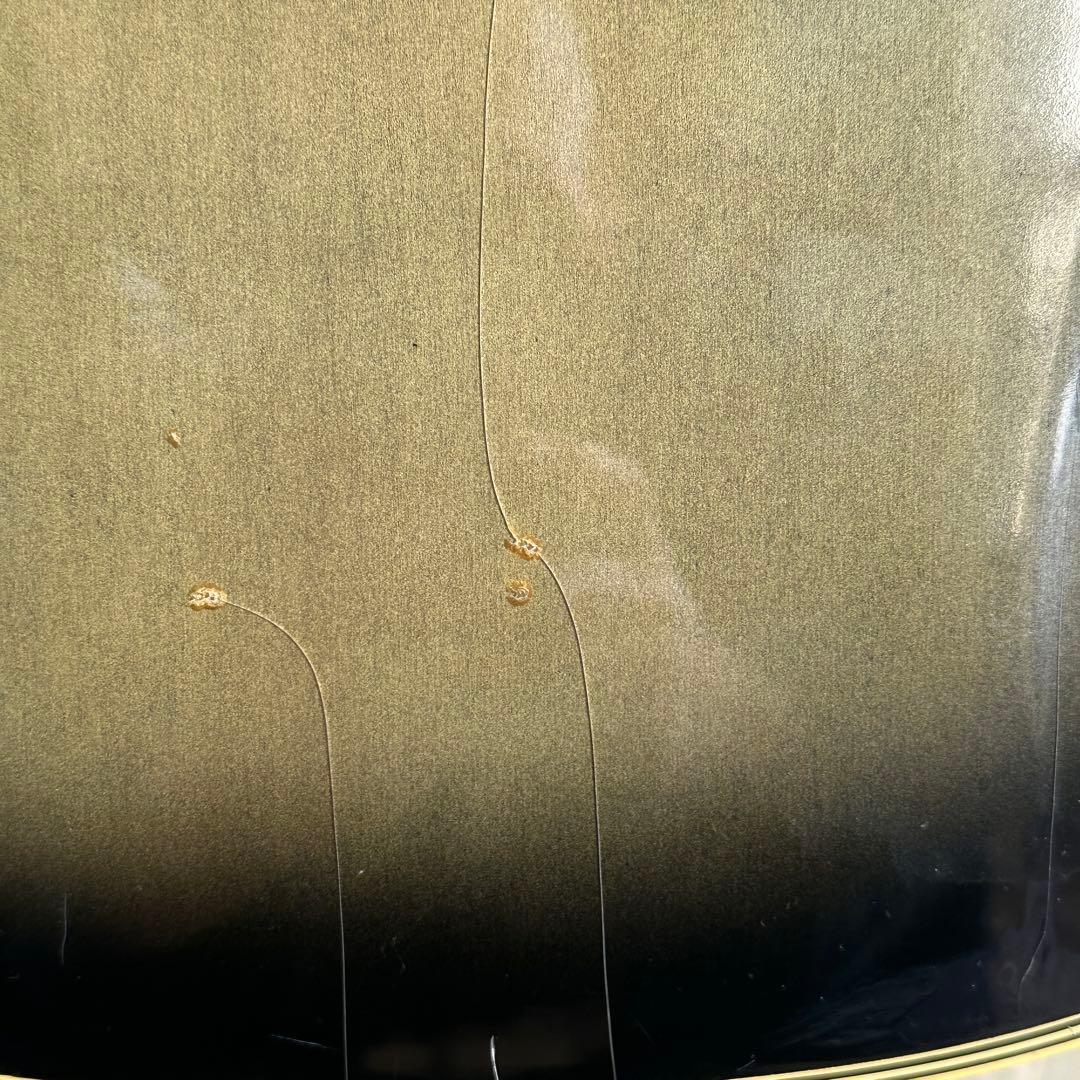 celebrity by ovation エレアコ