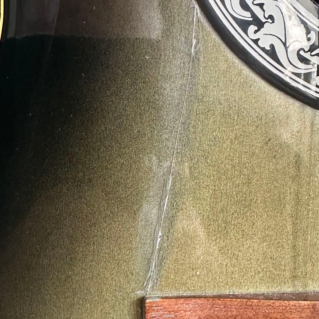 celebrity by ovation エレアコ