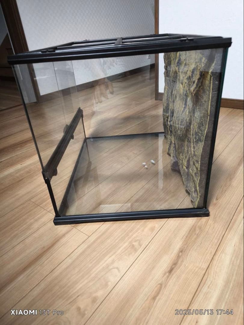 グラステラリウム6045