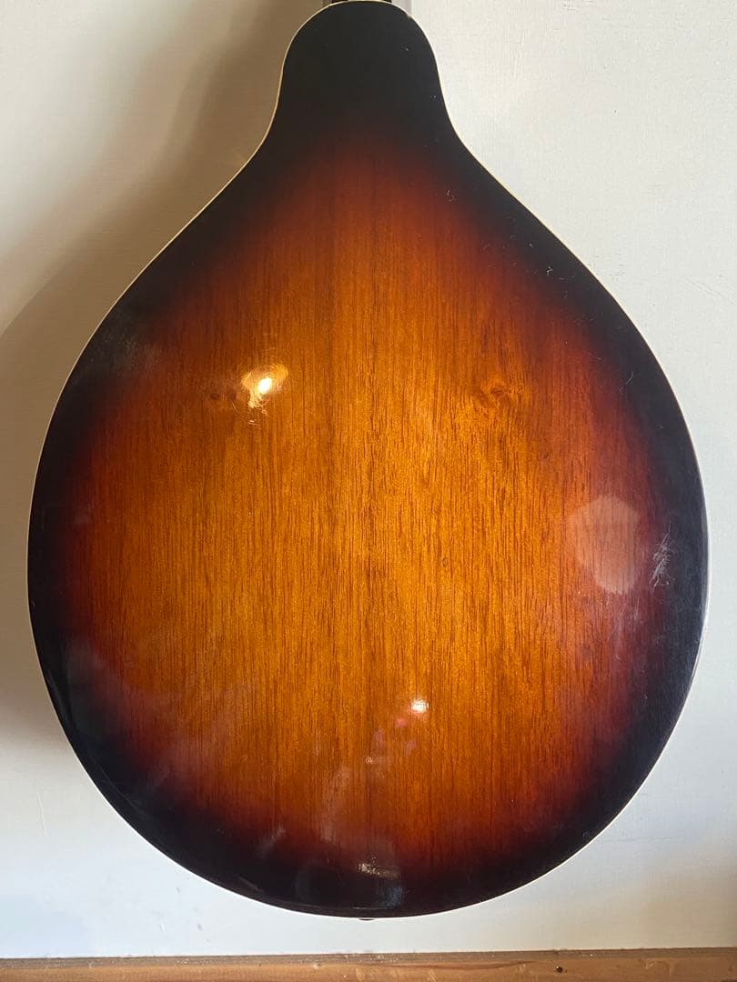 肘痛さま 専用 The Kasuga Customフラットマンドリン