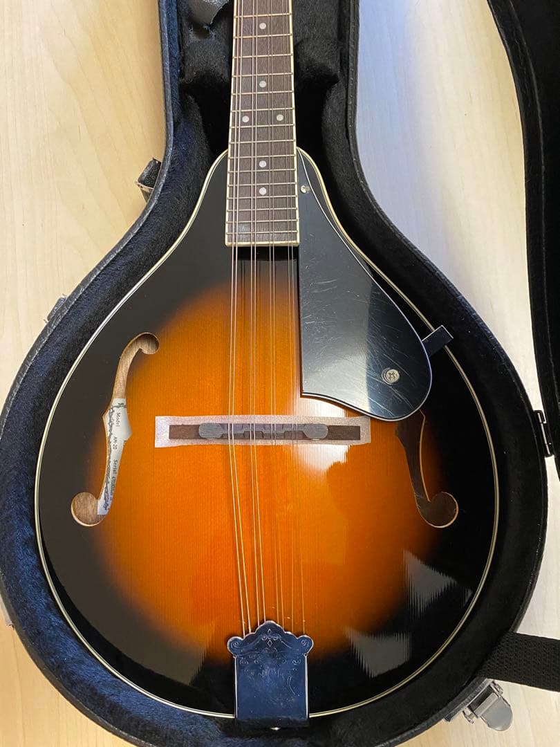 Aria AM-20 フラットマンドリン