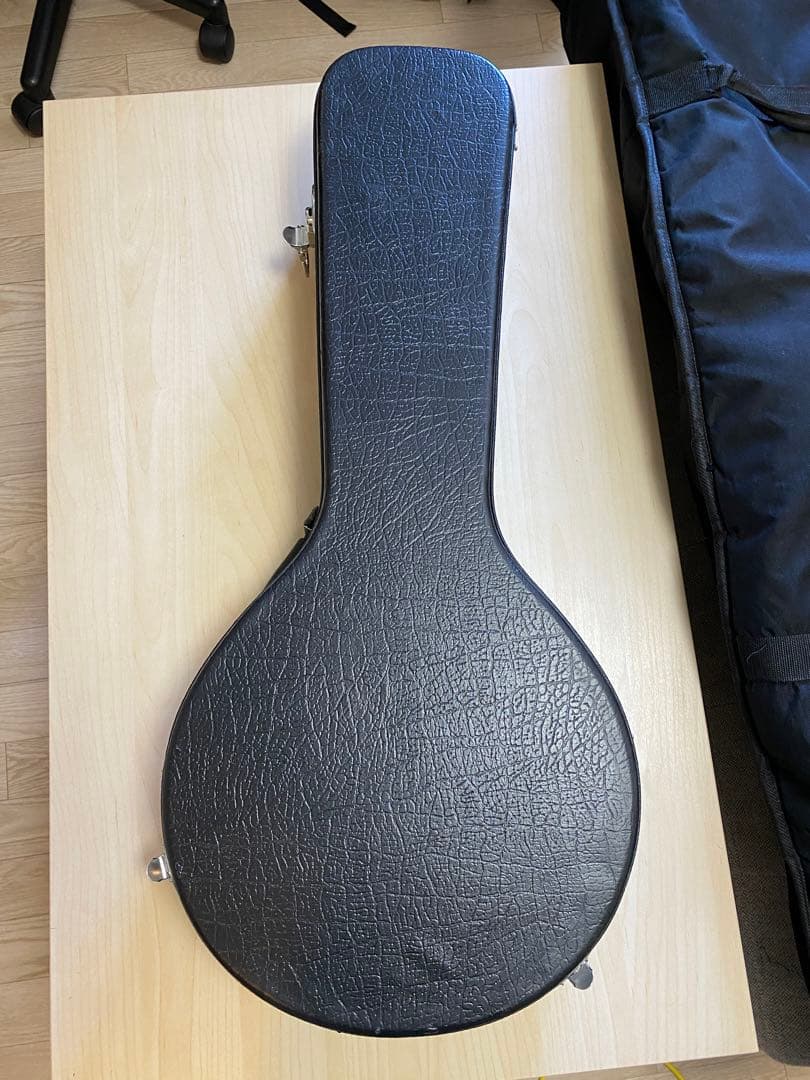 Aria AM-20 フラットマンドリン