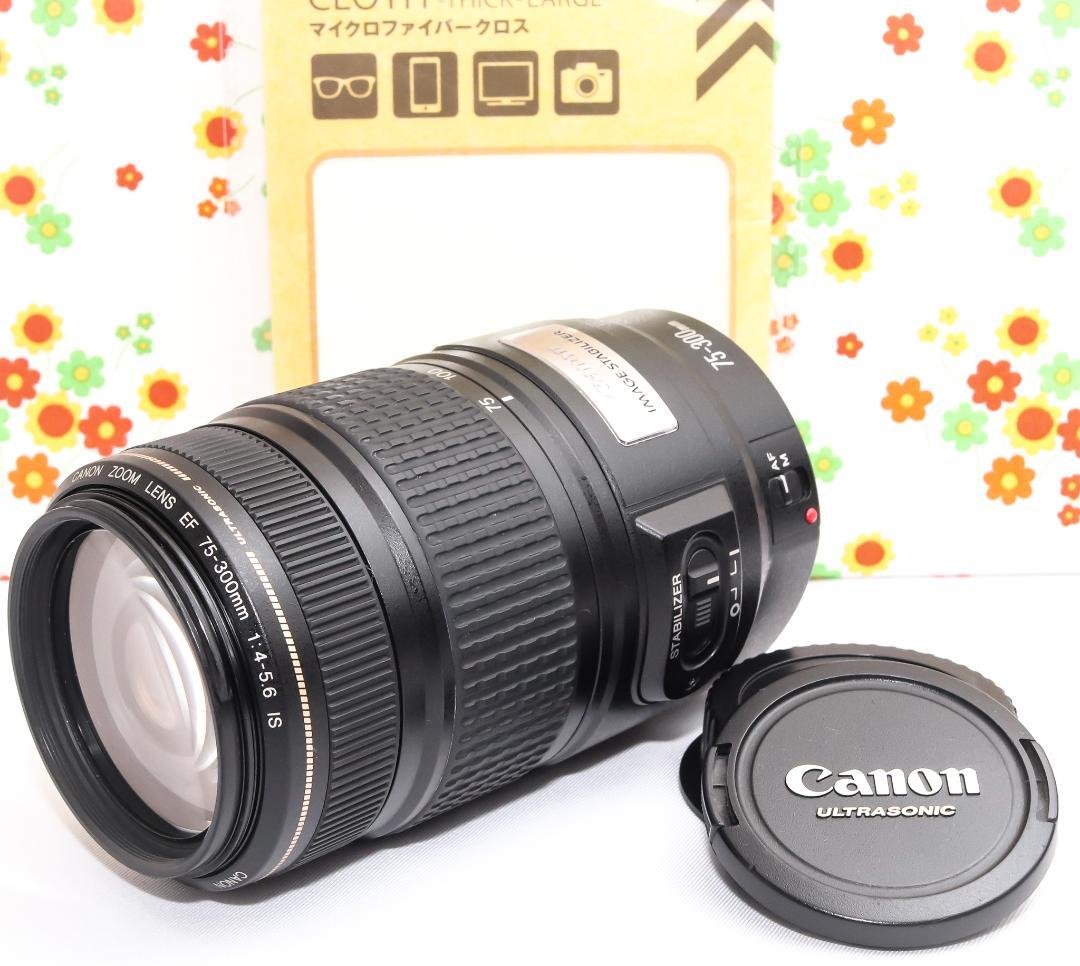 Canon EF 75-300mm IS USM☆遠くの一瞬をブレずに捉える