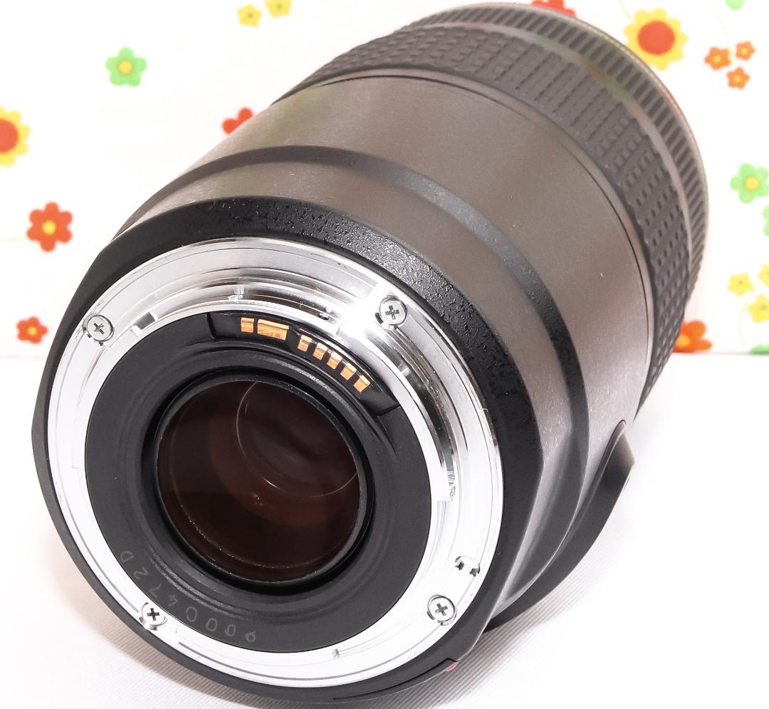 Canon EF 75-300mm IS USM☆遠くの一瞬をブレずに捉える