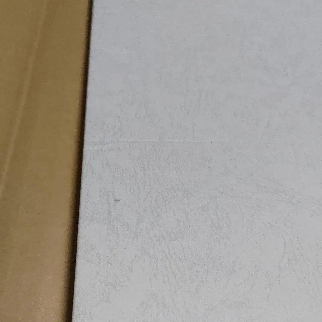 ローゼンメイデン　額装イラスト