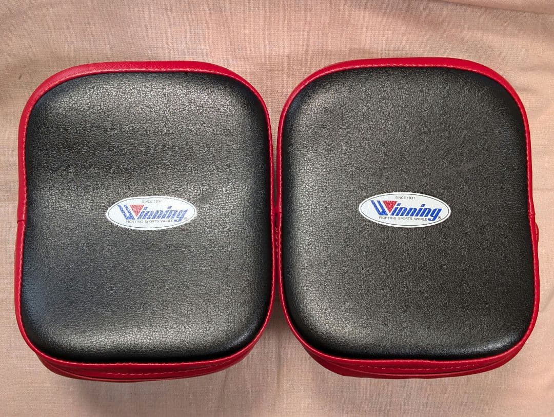 ウイニング winning 小型パンチングミット湾曲型 CM-10
