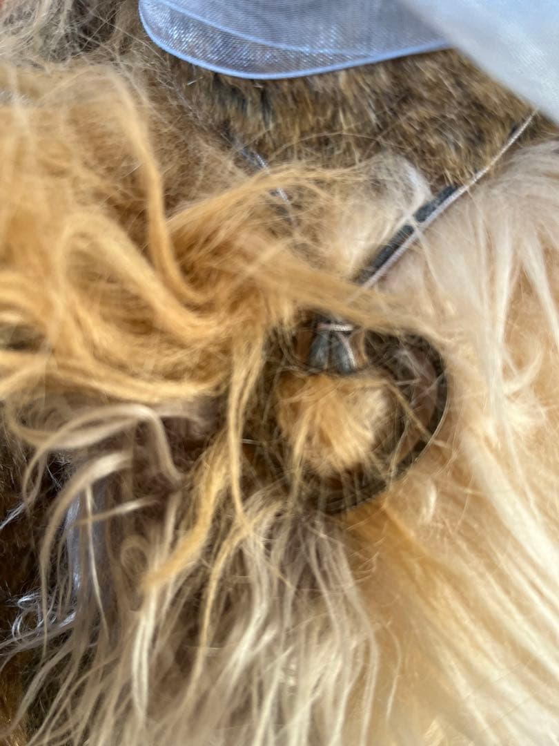 再値下げ　チャーリーベアーズ　テディベア　50cm くらい　足が動きます　作家