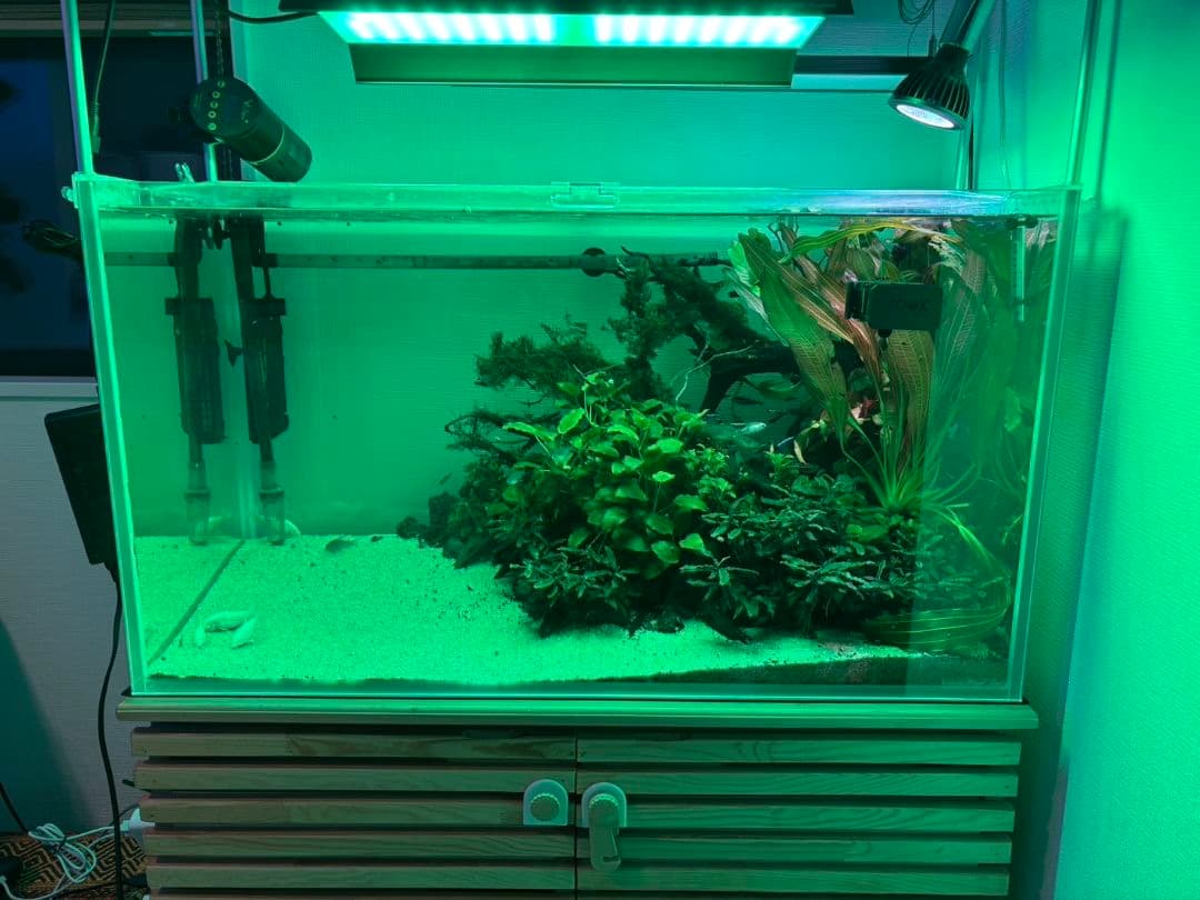 水槽 ライト Chihiros RGB VIVID Ⅱ