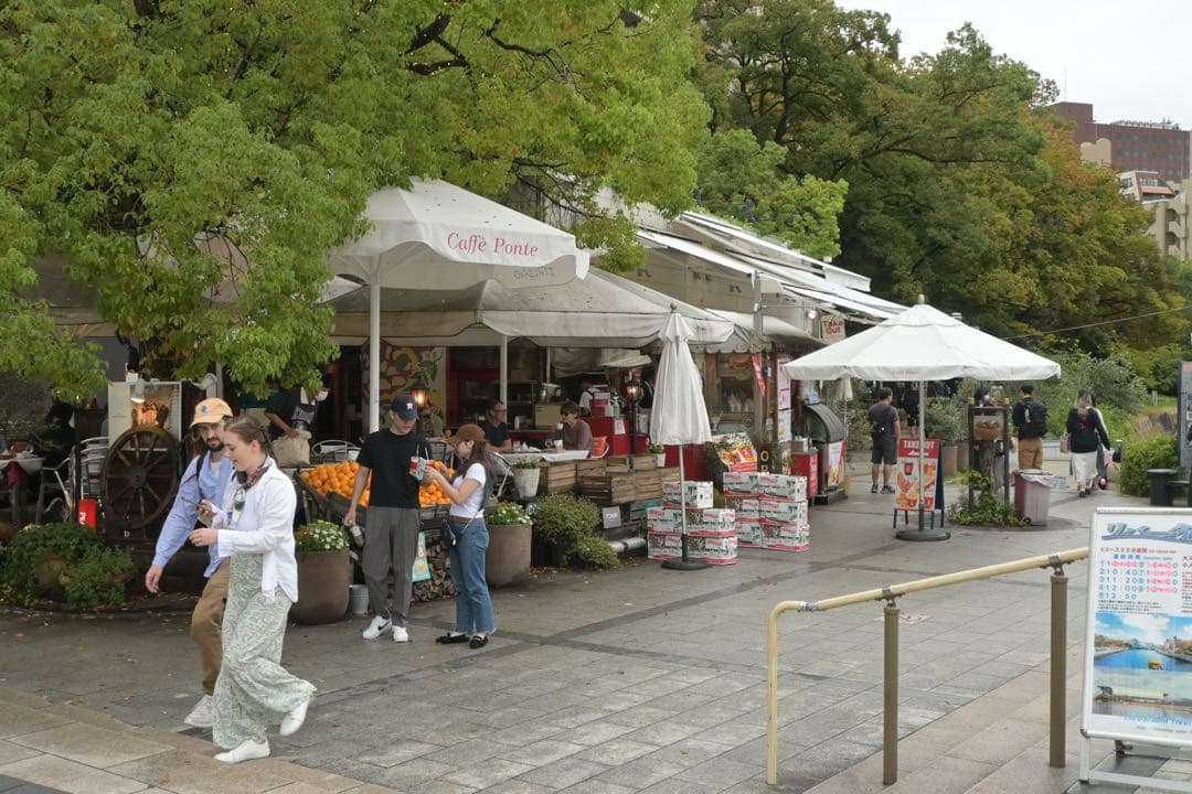 Nikon Z50 16-50 VRレンズキット