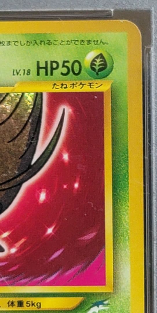 ひかるセレビィ　PSA9