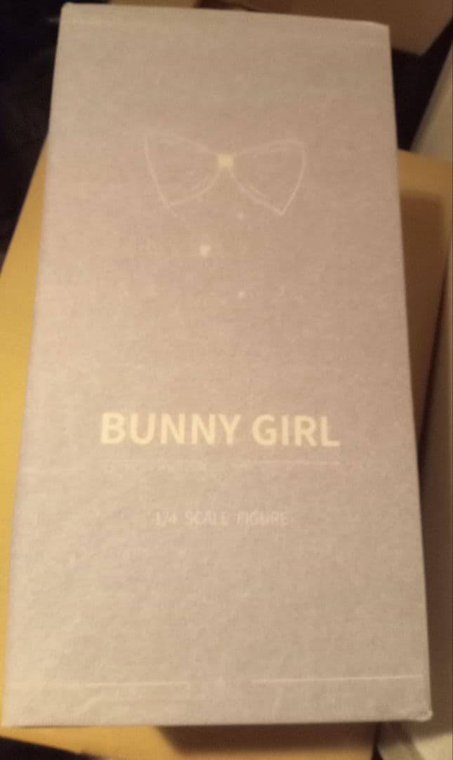 機動戦士ガンダムf91　RE/100 1/100 デナン・ゲー