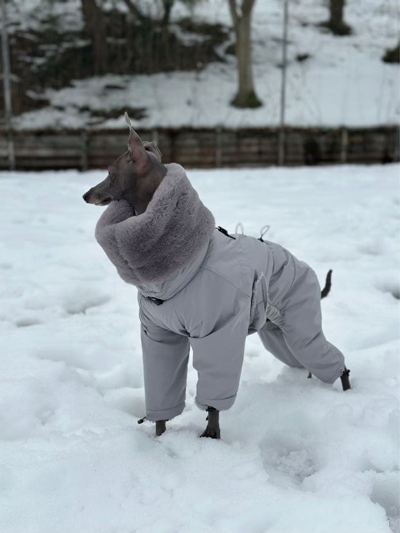 イタグレ スノースーツ