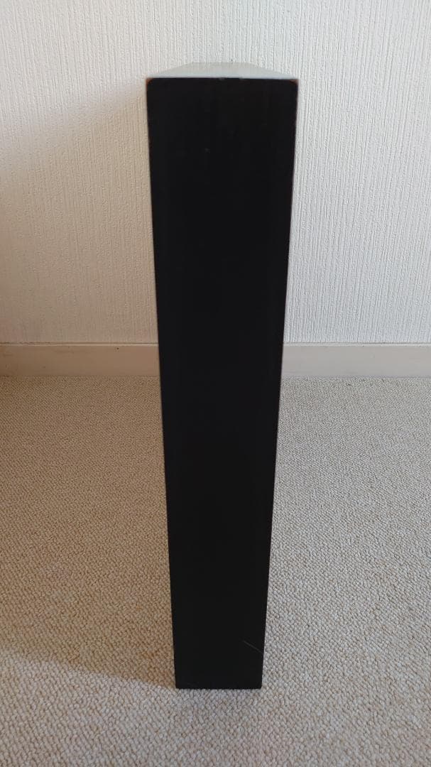 蝶の標本 オオゴマシジミ、ゴマシジミ類