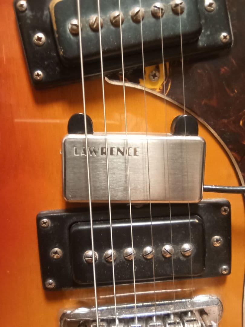 Guyatoneジャパンビンテージ　ビザールギター モズライトタイプ　 カスタム