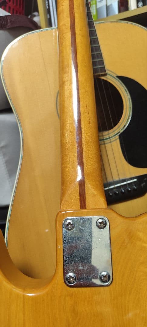 Zenon Electric Guitar エレキギター 全音 roje