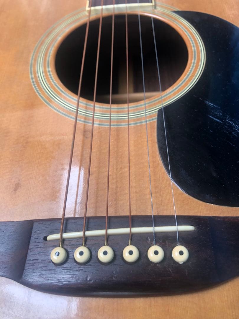 ギター Cat's Eyes CE-600