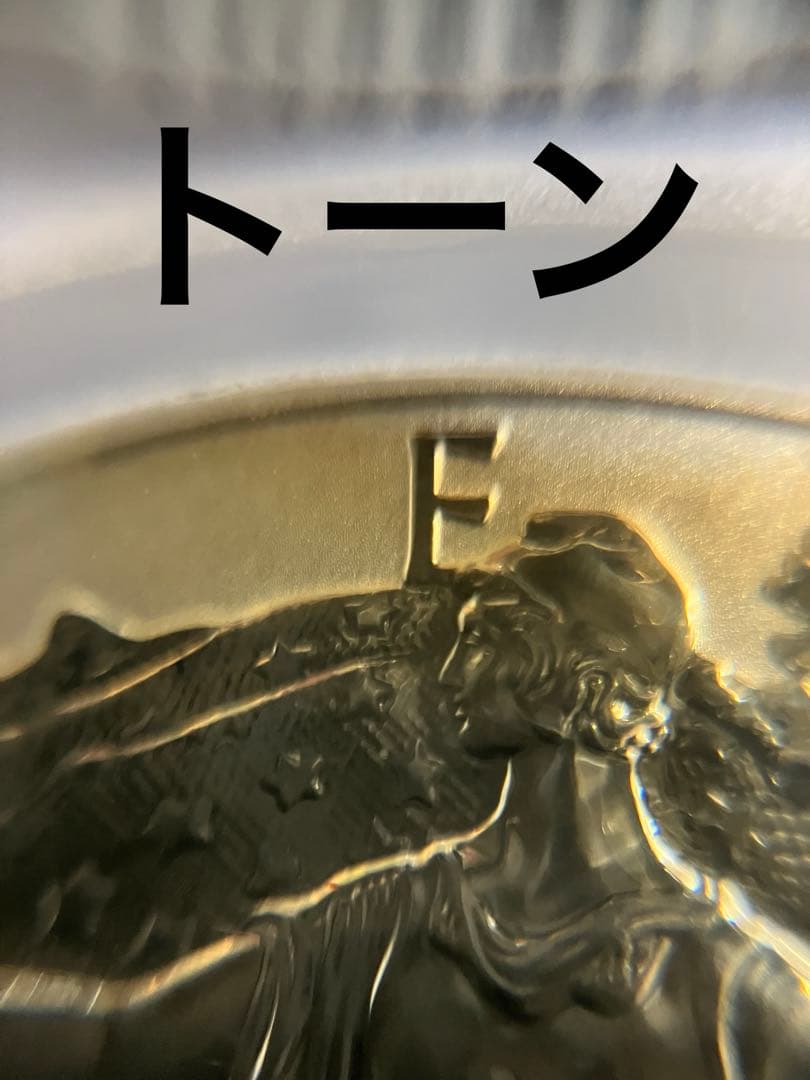 ぽ*ん様 訳あり　ウォーキングリバティイーグルリバース銀貨1オンス 2013年版