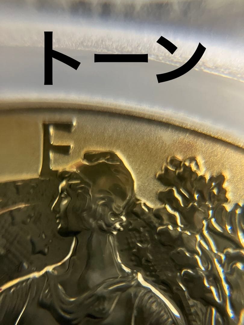 ぽ*ん様 訳あり　ウォーキングリバティイーグルリバース銀貨1オンス 2013年版