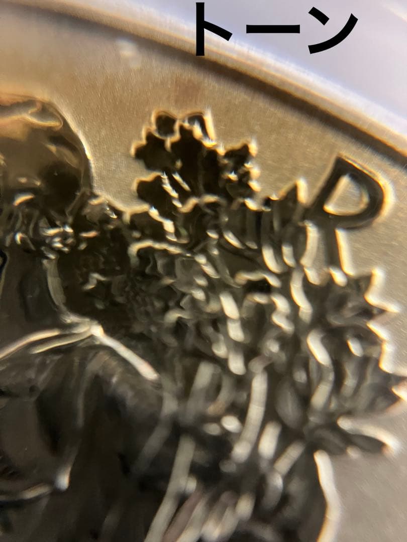 ぽ*ん様 訳あり　ウォーキングリバティイーグルリバース銀貨1オンス 2013年版