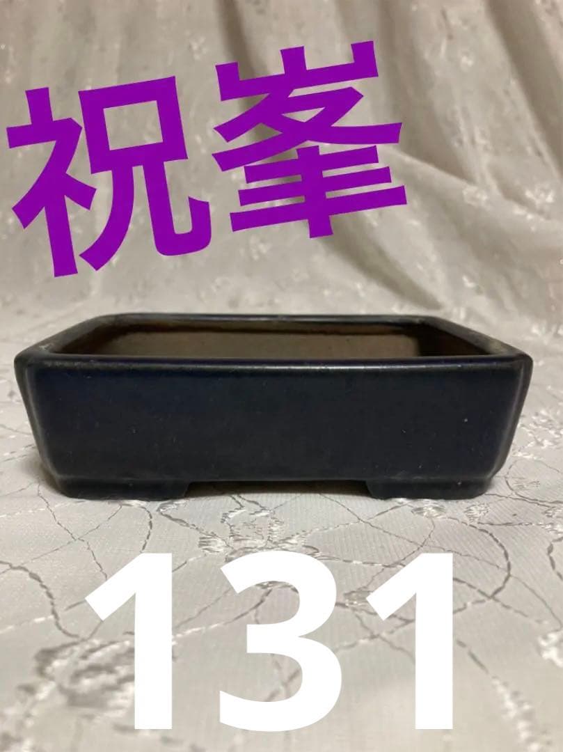 祝峯　盆栽鉢131