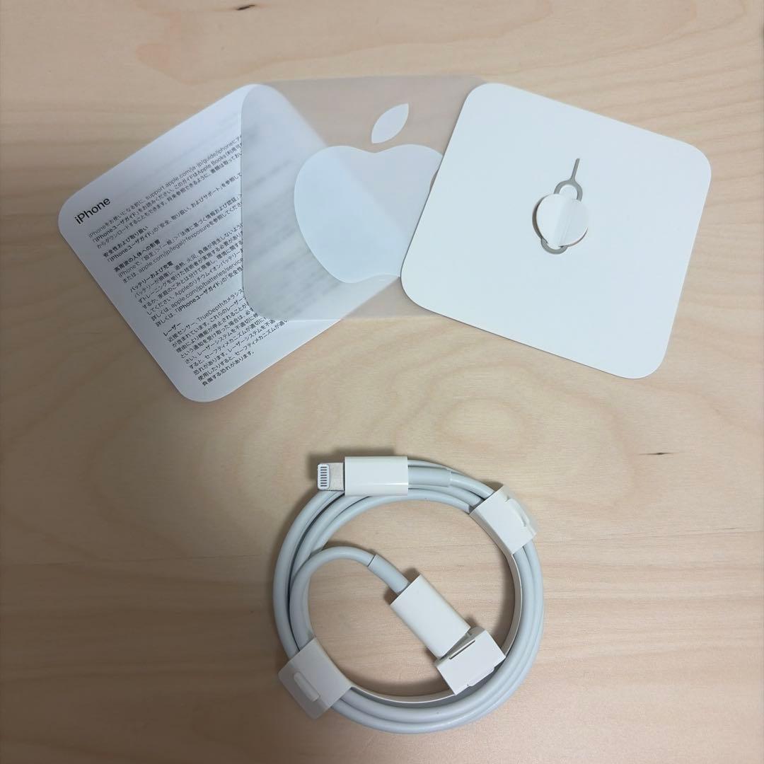 iPhone 13 Pro Max 256GB 本体 グラファイト 美品