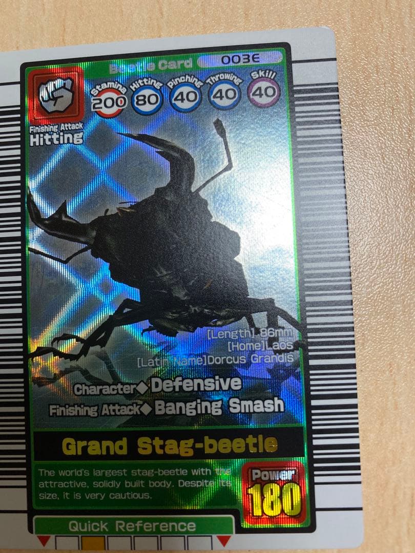 甲虫王者ムシキング グランディスオオクワガタ 英語版