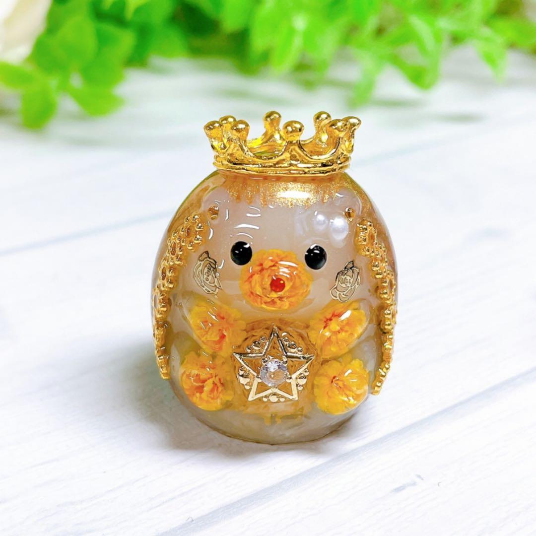 ゆきんこ 中身の見える福袋2026②