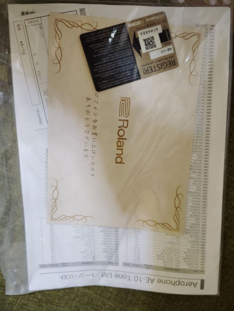 【値下げ】RolandのAerophone AE-10(ホワイト)　説明書有り