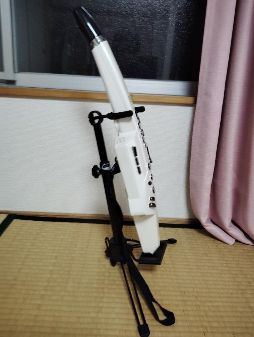 【値下げ】RolandのAerophone AE-10(ホワイト)　説明書有り