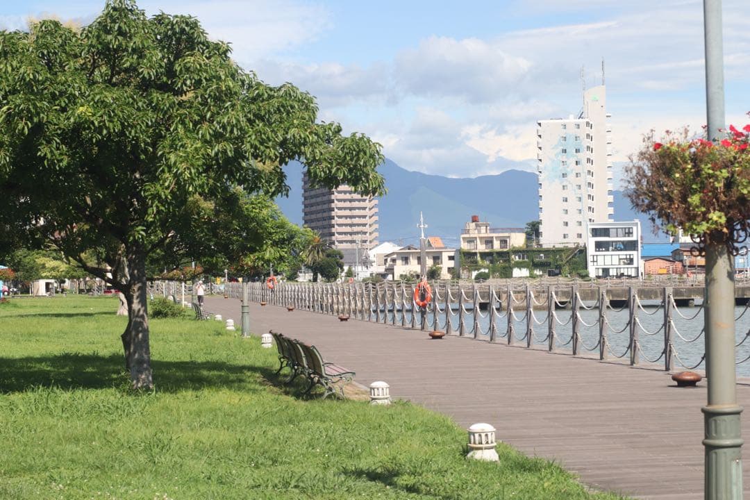 ★ OLYMPUS OM-2 (革ケース付) + 標準レンズ 50mm F1.4